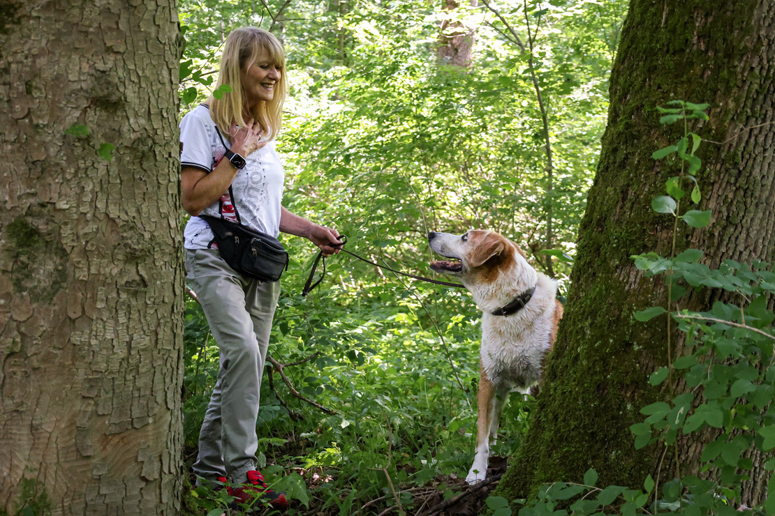 Hundeschule Ettringen