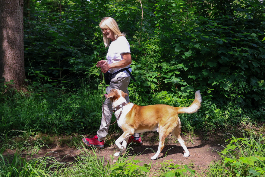Leinen-Coaching bei der Hundeschule Ettringen